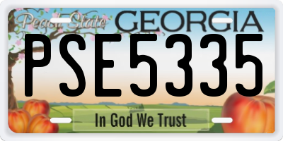 GA license plate PSE5335