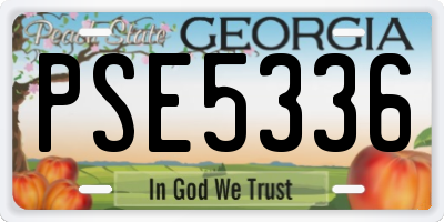 GA license plate PSE5336