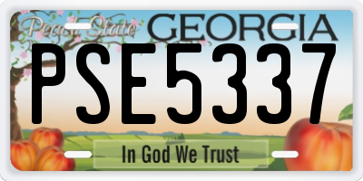 GA license plate PSE5337