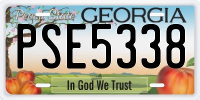 GA license plate PSE5338