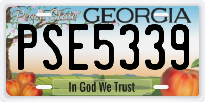 GA license plate PSE5339