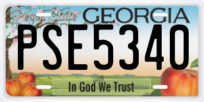 GA license plate PSE5340
