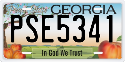 GA license plate PSE5341