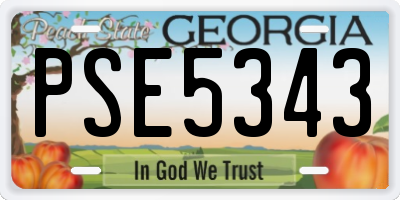 GA license plate PSE5343