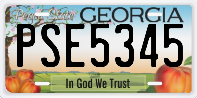 GA license plate PSE5345