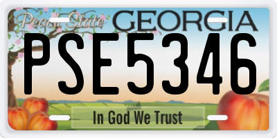 GA license plate PSE5346