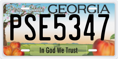 GA license plate PSE5347