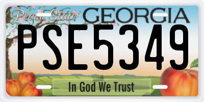 GA license plate PSE5349