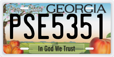 GA license plate PSE5351