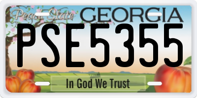 GA license plate PSE5355