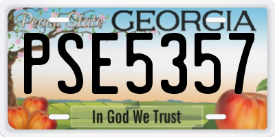 GA license plate PSE5357