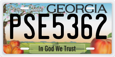 GA license plate PSE5362