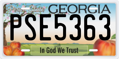 GA license plate PSE5363