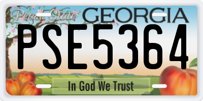 GA license plate PSE5364