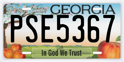 GA license plate PSE5367