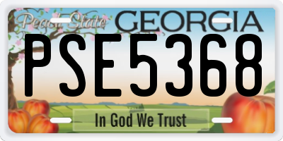 GA license plate PSE5368