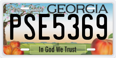 GA license plate PSE5369