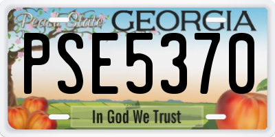 GA license plate PSE5370