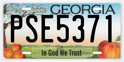 GA license plate PSE5371