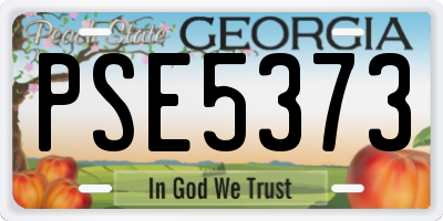 GA license plate PSE5373