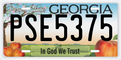 GA license plate PSE5375