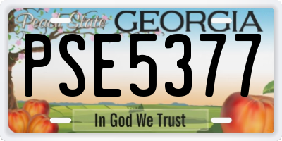 GA license plate PSE5377