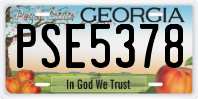 GA license plate PSE5378