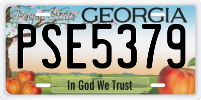GA license plate PSE5379