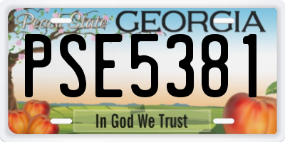 GA license plate PSE5381