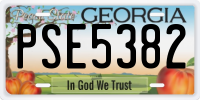 GA license plate PSE5382