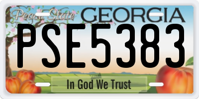 GA license plate PSE5383