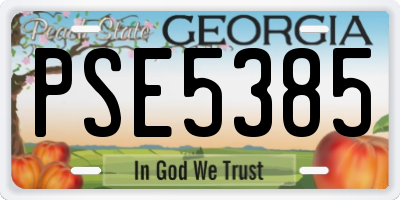 GA license plate PSE5385