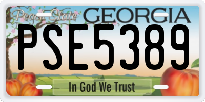 GA license plate PSE5389