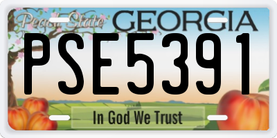 GA license plate PSE5391