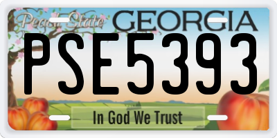 GA license plate PSE5393