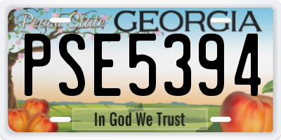 GA license plate PSE5394