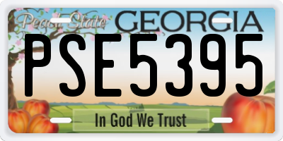 GA license plate PSE5395
