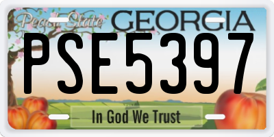 GA license plate PSE5397