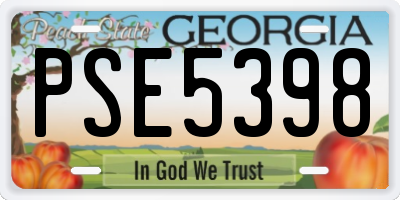 GA license plate PSE5398