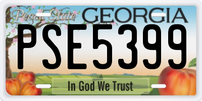 GA license plate PSE5399