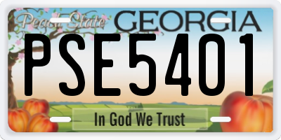GA license plate PSE5401