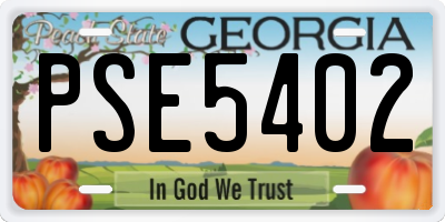 GA license plate PSE5402