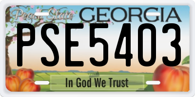 GA license plate PSE5403