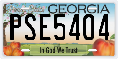 GA license plate PSE5404