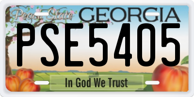 GA license plate PSE5405
