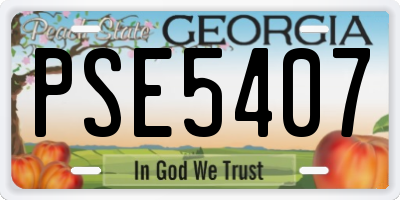 GA license plate PSE5407
