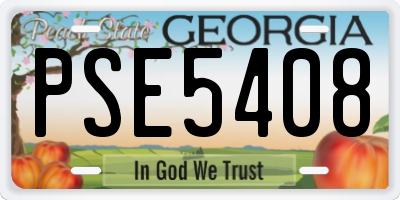 GA license plate PSE5408