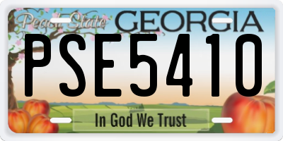 GA license plate PSE5410