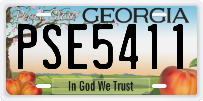GA license plate PSE5411