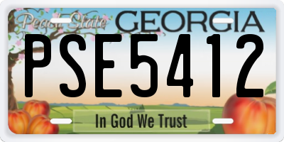 GA license plate PSE5412
